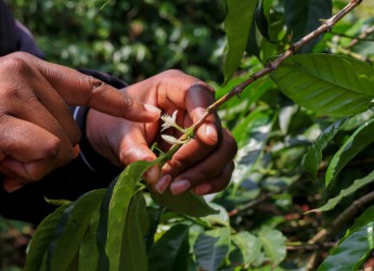 Karunguru Farm Tour with Lunch